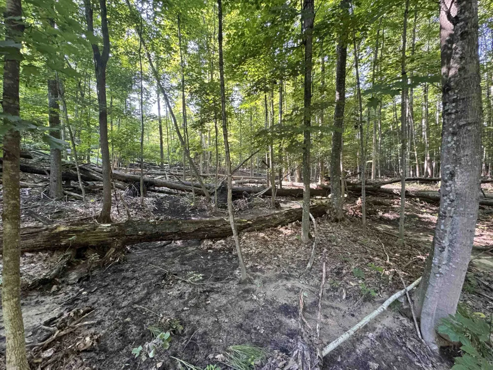 E Bellinger Road Kasson Township, MI 49621