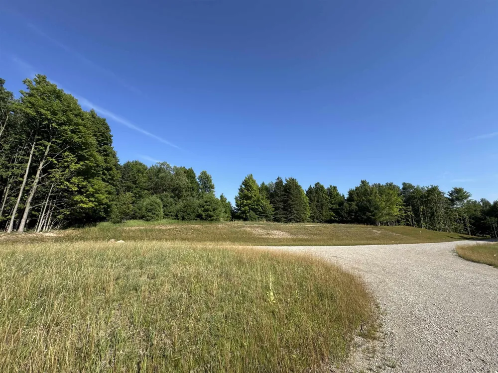 E Bellinger Road Kasson Township, MI 49621