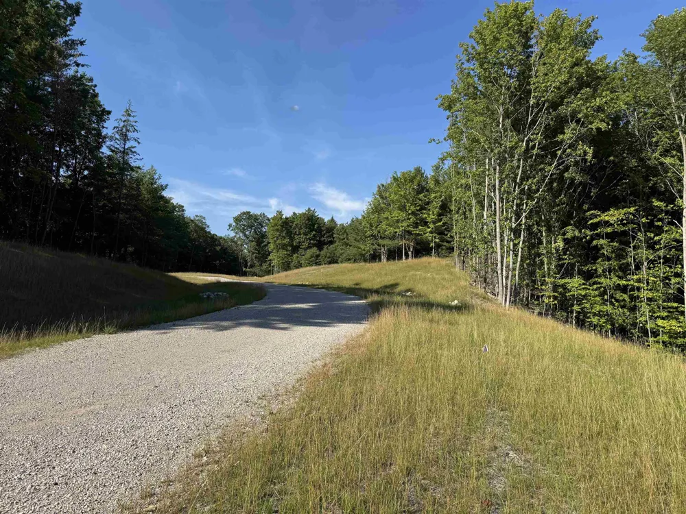 E Bellinger Road Kasson Township, MI 49621