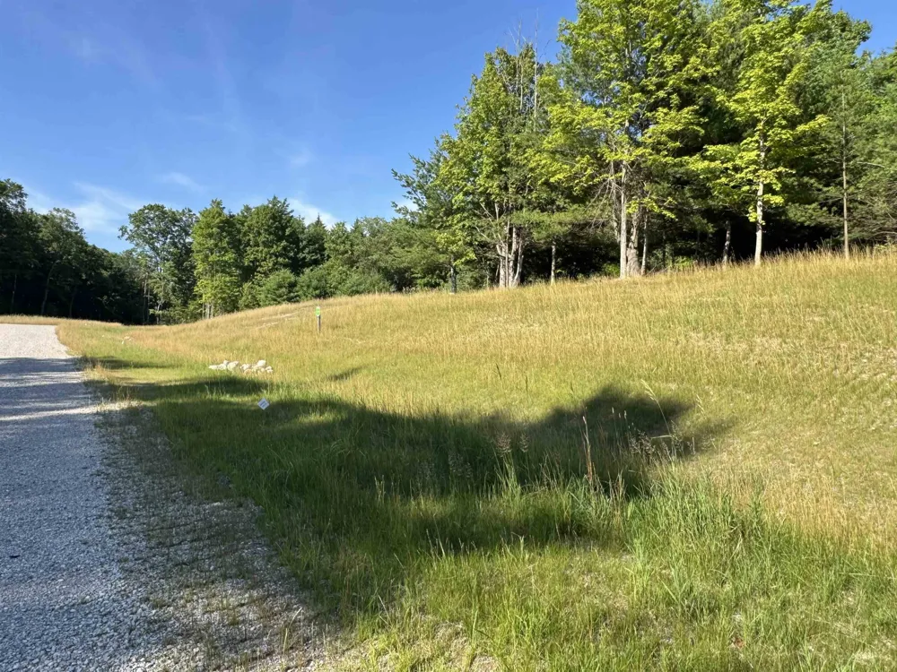 E Bellinger Road Kasson Township, MI 49621