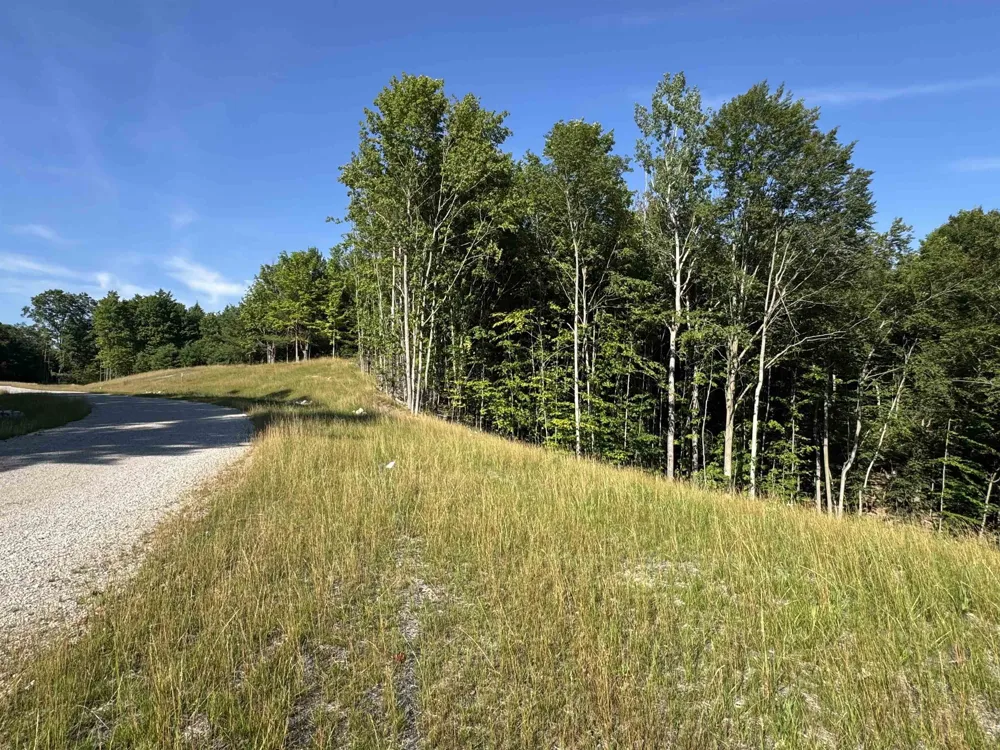 E Bellinger Road Kasson Township, MI 49621