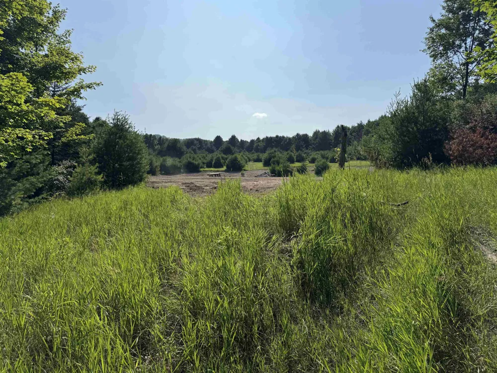 E Bellinger Road Kasson Township, MI 49621