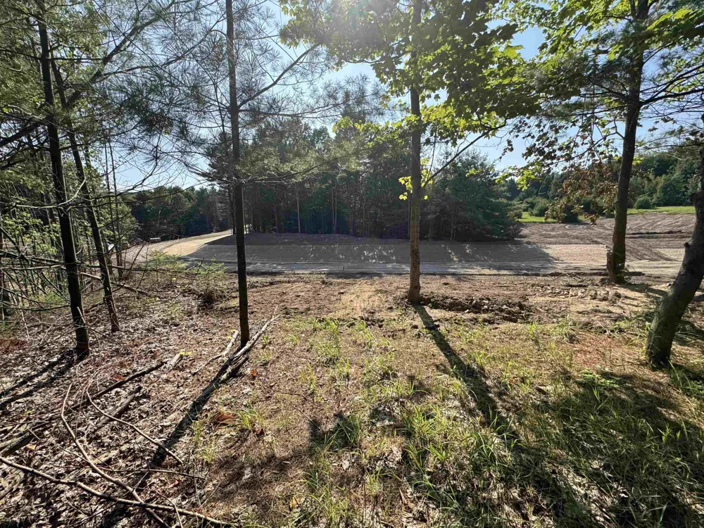 E Bellinger Road Kasson Township, MI 49621
