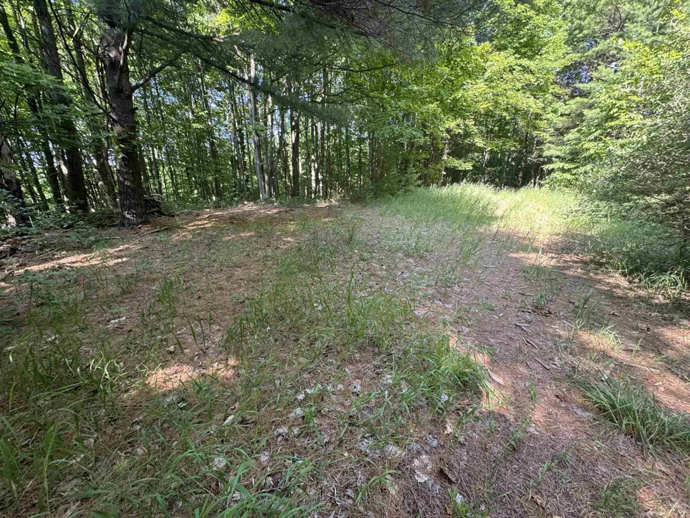E Bellinger Road Kasson Township, MI 49621