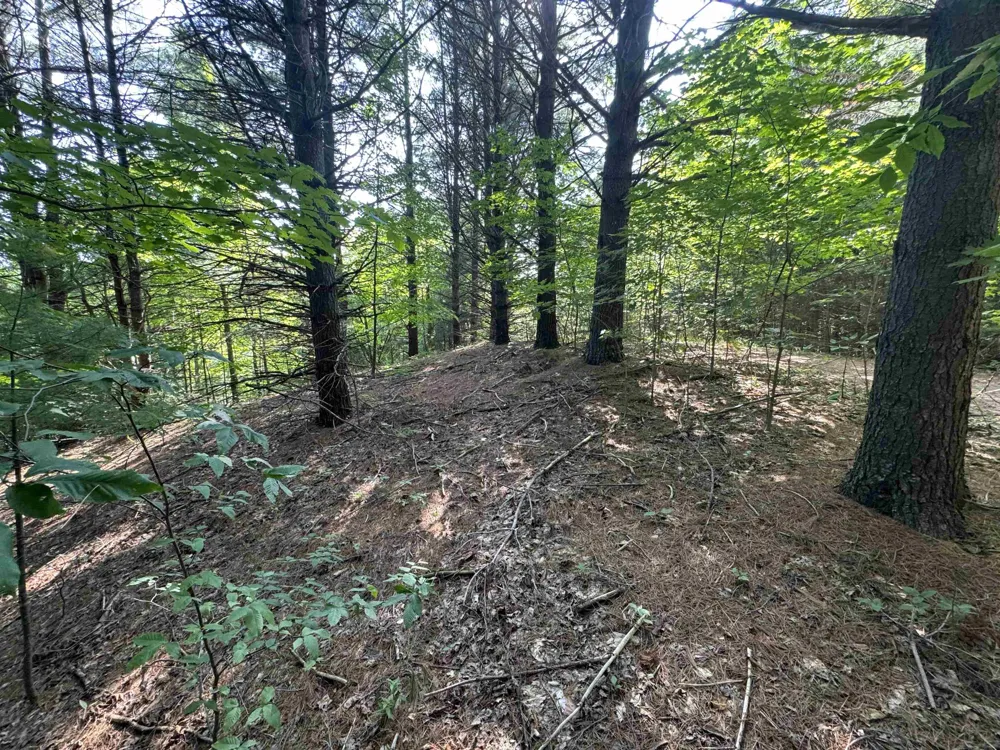 E Bellinger Road Kasson Township, MI 49621