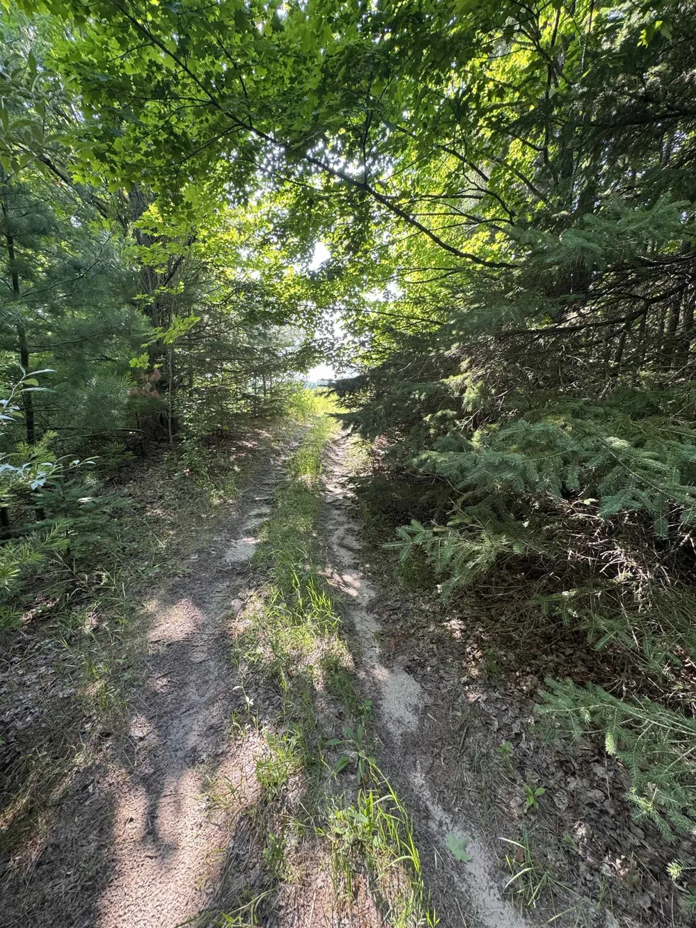 E Bellinger Road Kasson Township, MI 49621