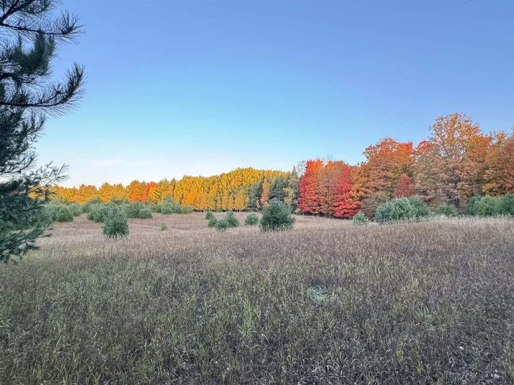 E Bellinger Road Kasson Township, MI 49621