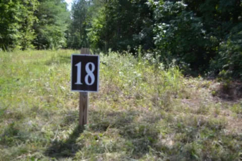 318 Rhodas Way