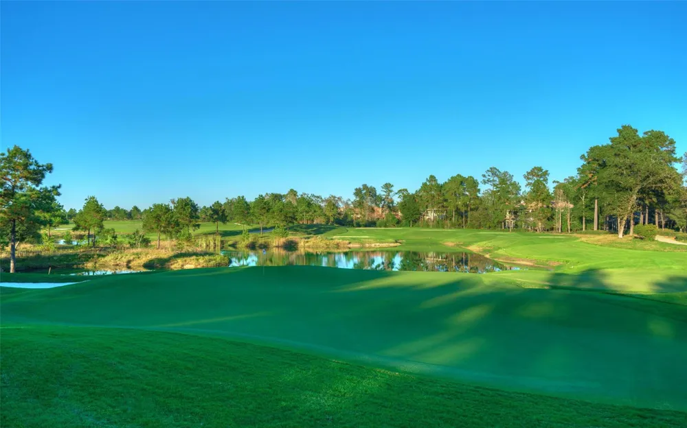 30 Johnathan Landing Court The Woodlands, TX 77389