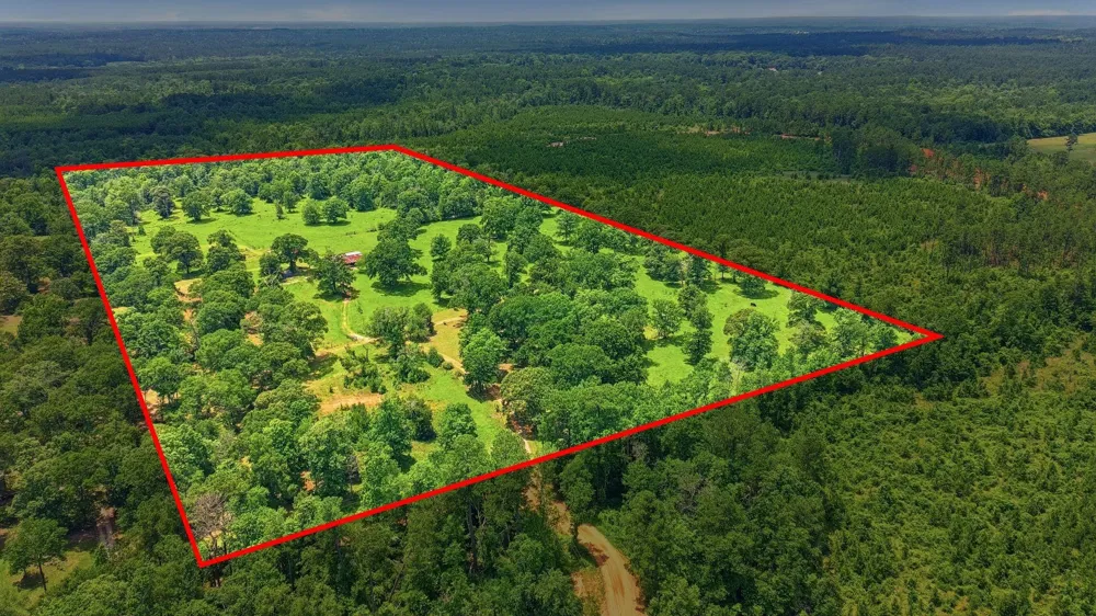 280 Mcgehee Road Willis, TX 77378