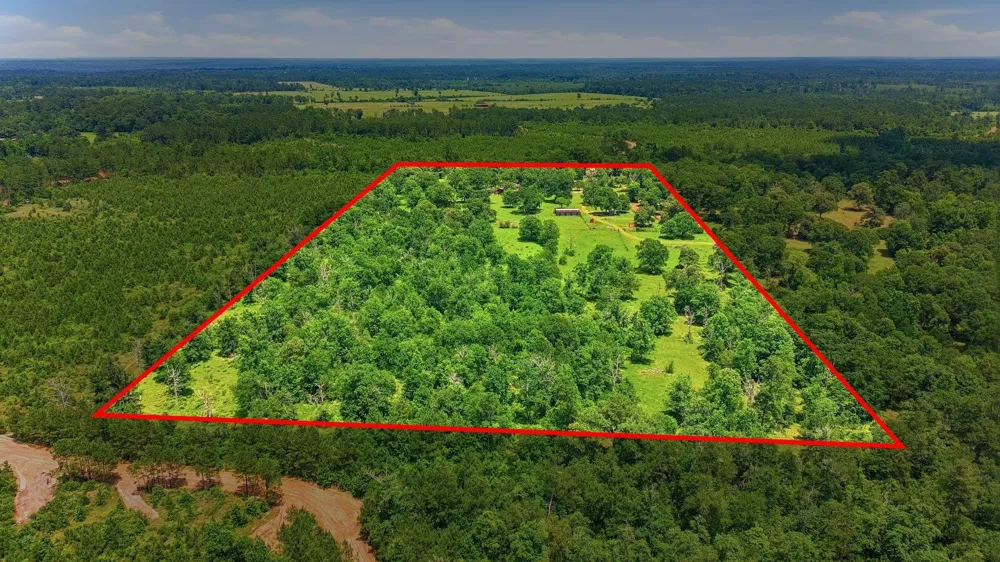 280 Mcgehee Road Willis, TX 77378