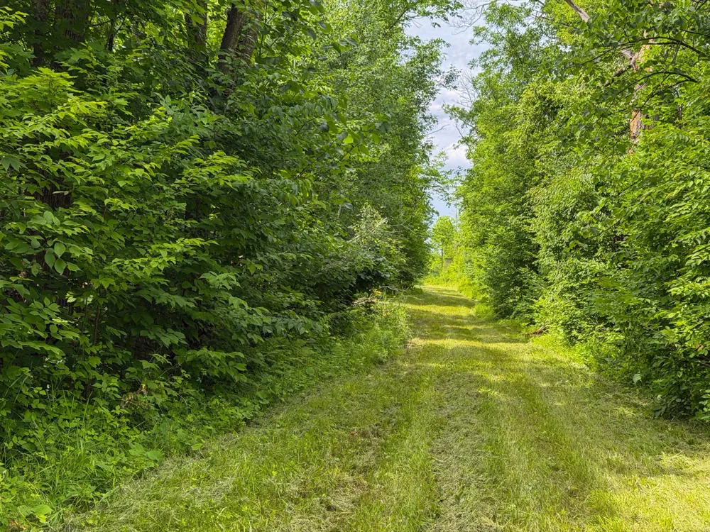 80 Acres Pike Bay Loop Road NW Cass Lake, MN 56633