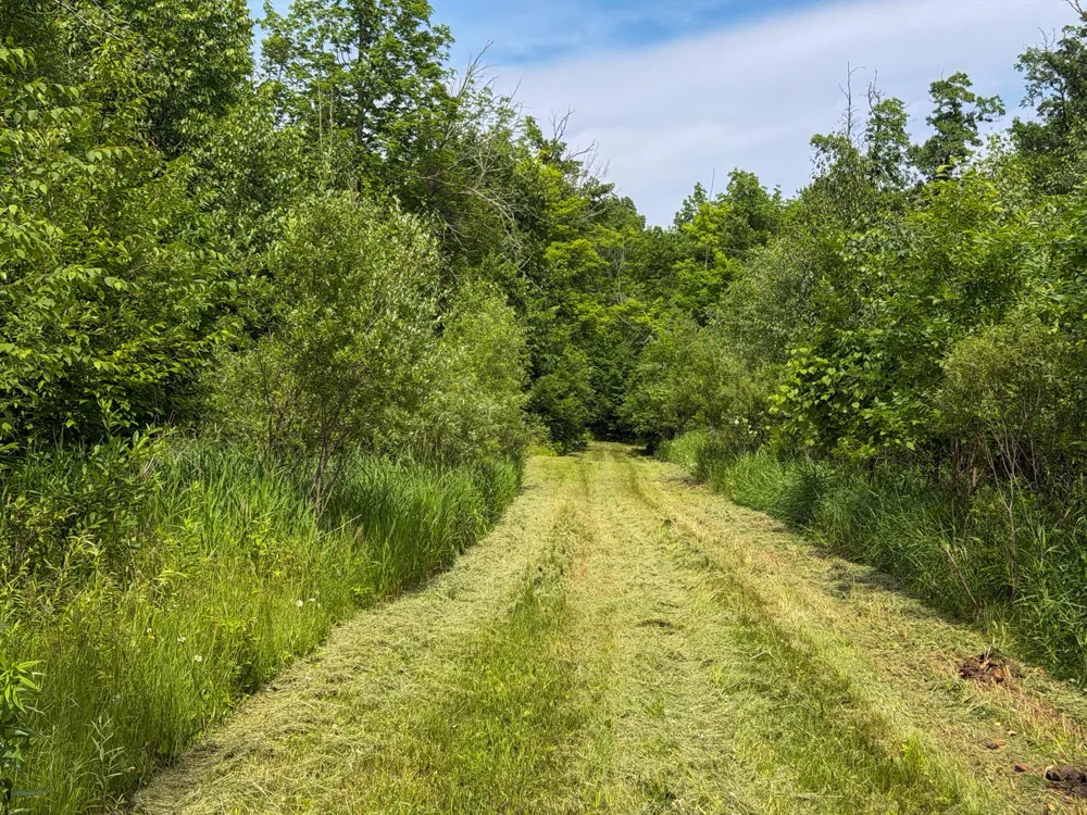 80 Acres Pike Bay Loop Road NW Cass Lake, MN 56633