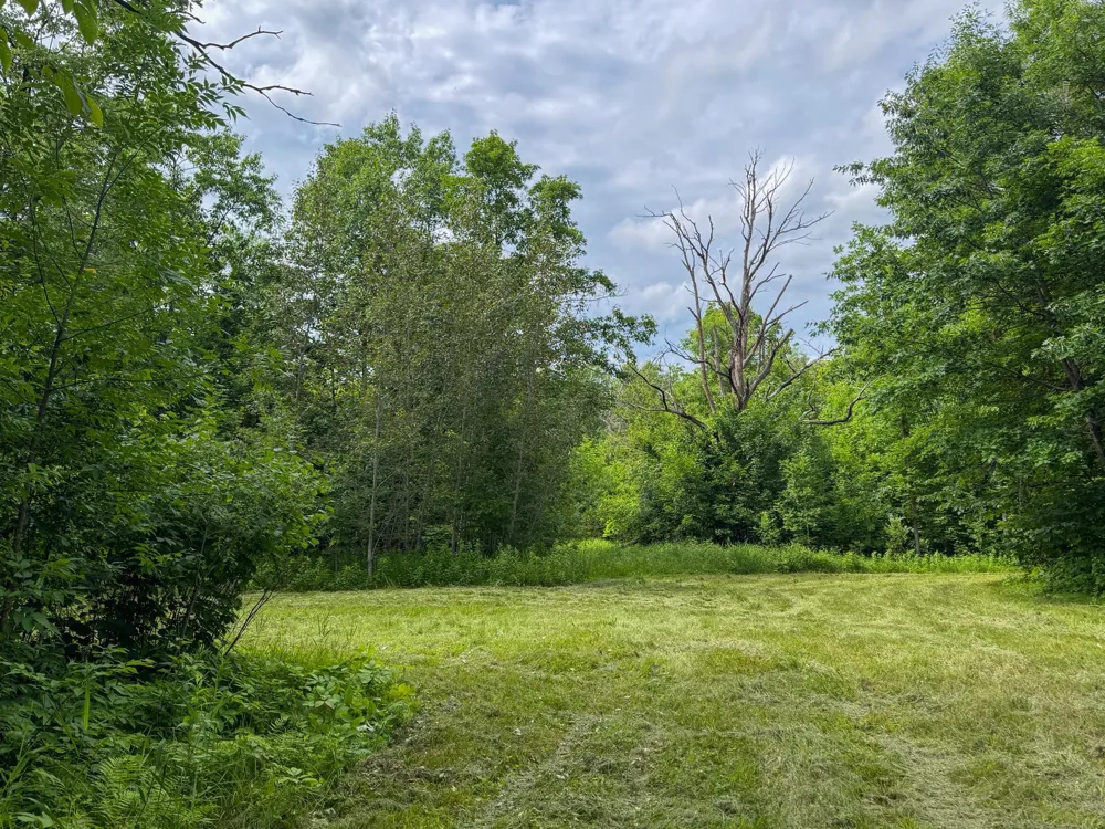 80 Acres Pike Bay Loop Road NW Cass Lake, MN 56633
