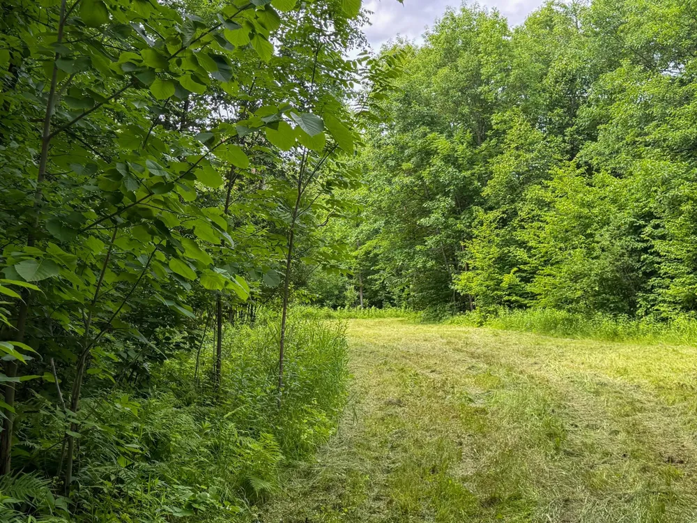 80 Acres Pike Bay Loop Road NW Cass Lake, MN 56633