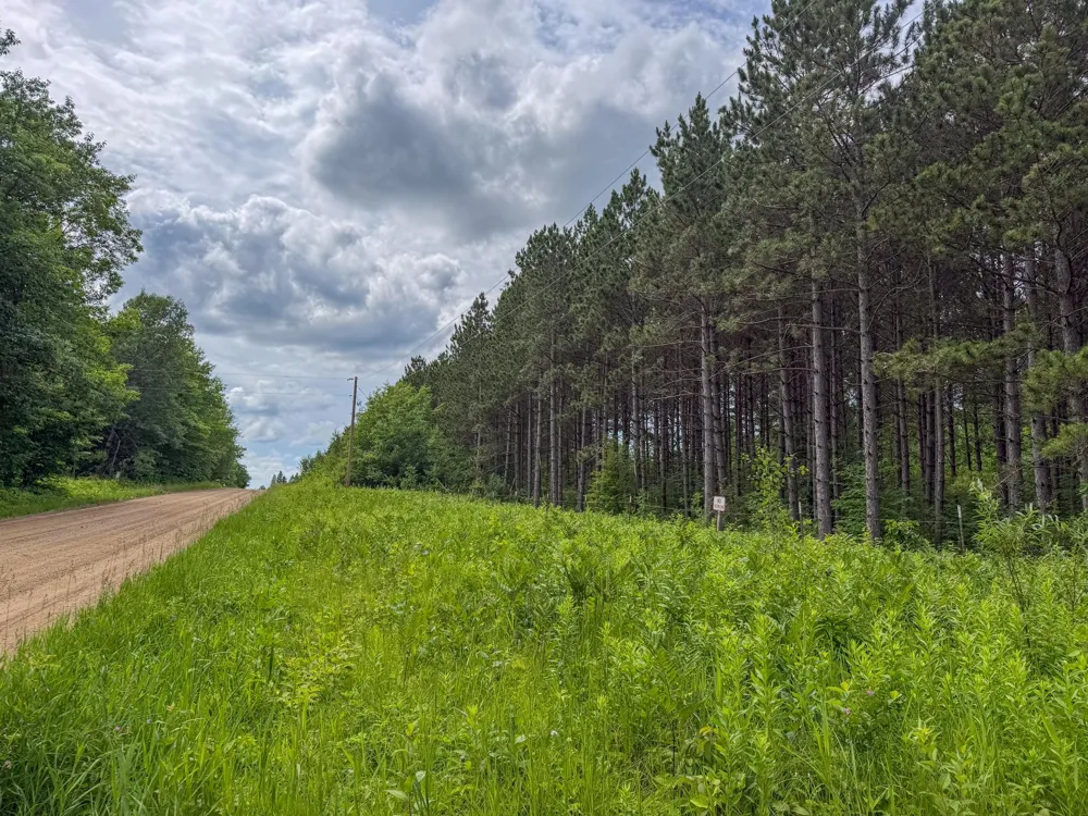 80 Acres Pike Bay Loop Road NW Cass Lake, MN 56633