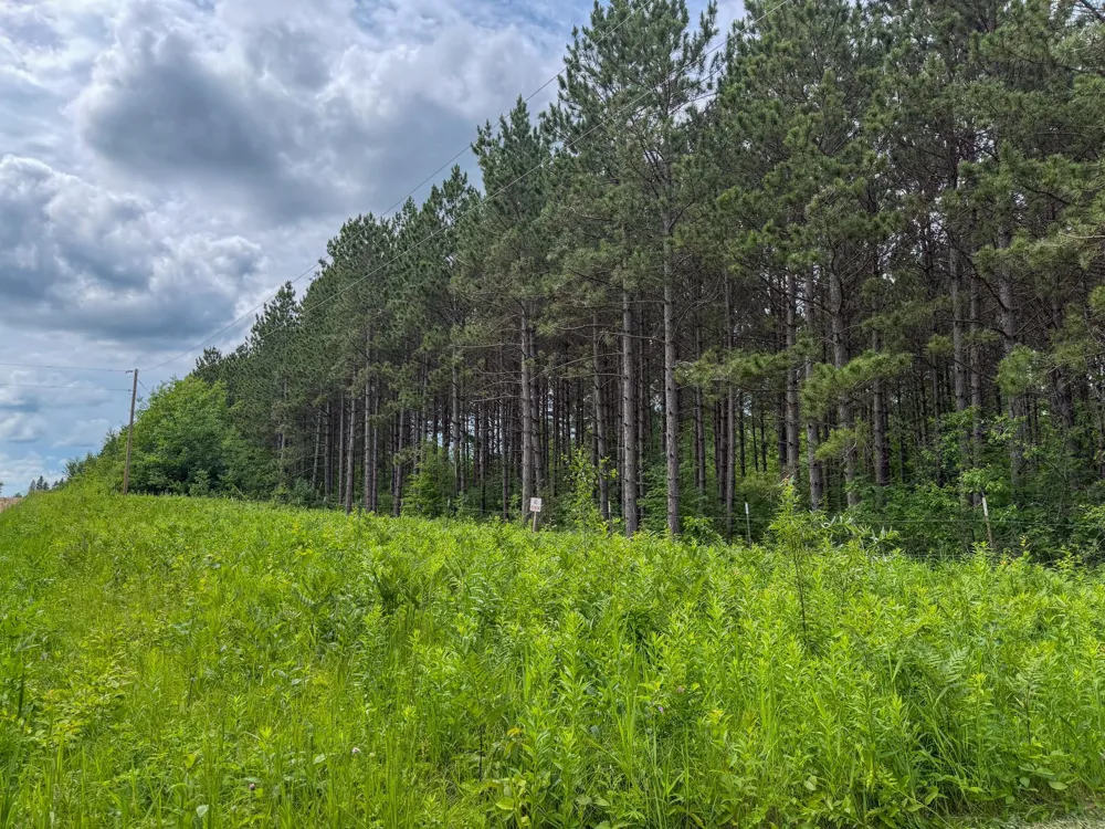 80 Acres Pike Bay Loop Road NW Cass Lake, MN 56633