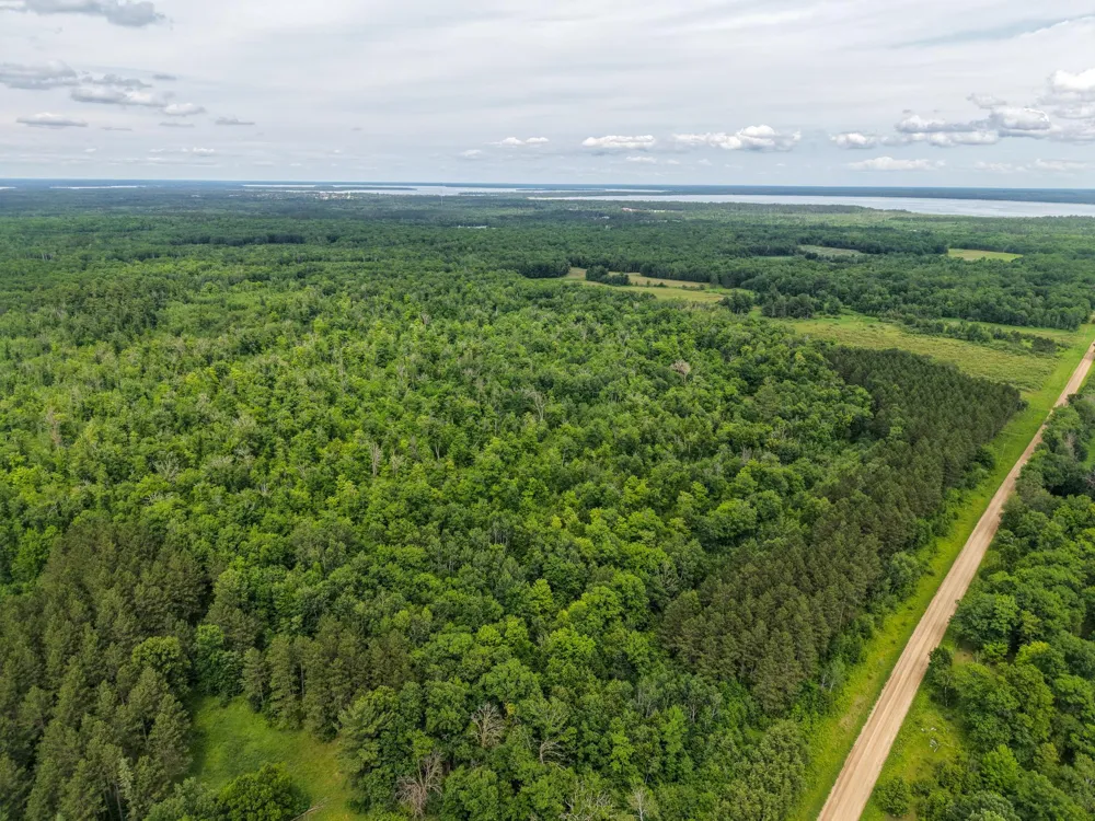 80 Acres Pike Bay Loop Road NW Cass Lake, MN 56633
