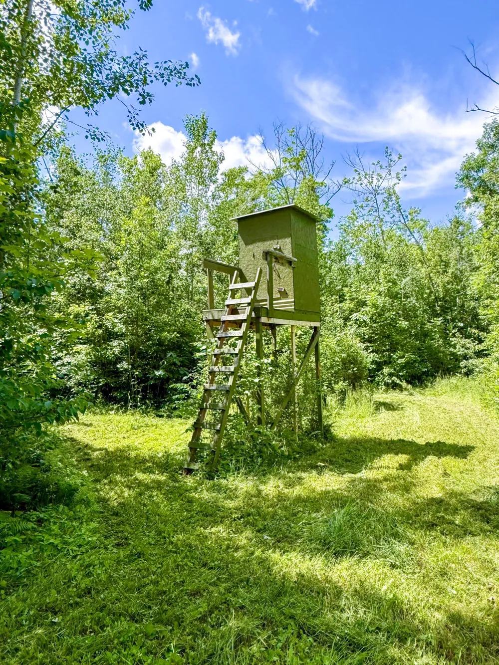 80 Acres Pike Bay Loop Road NW Cass Lake, MN 56633