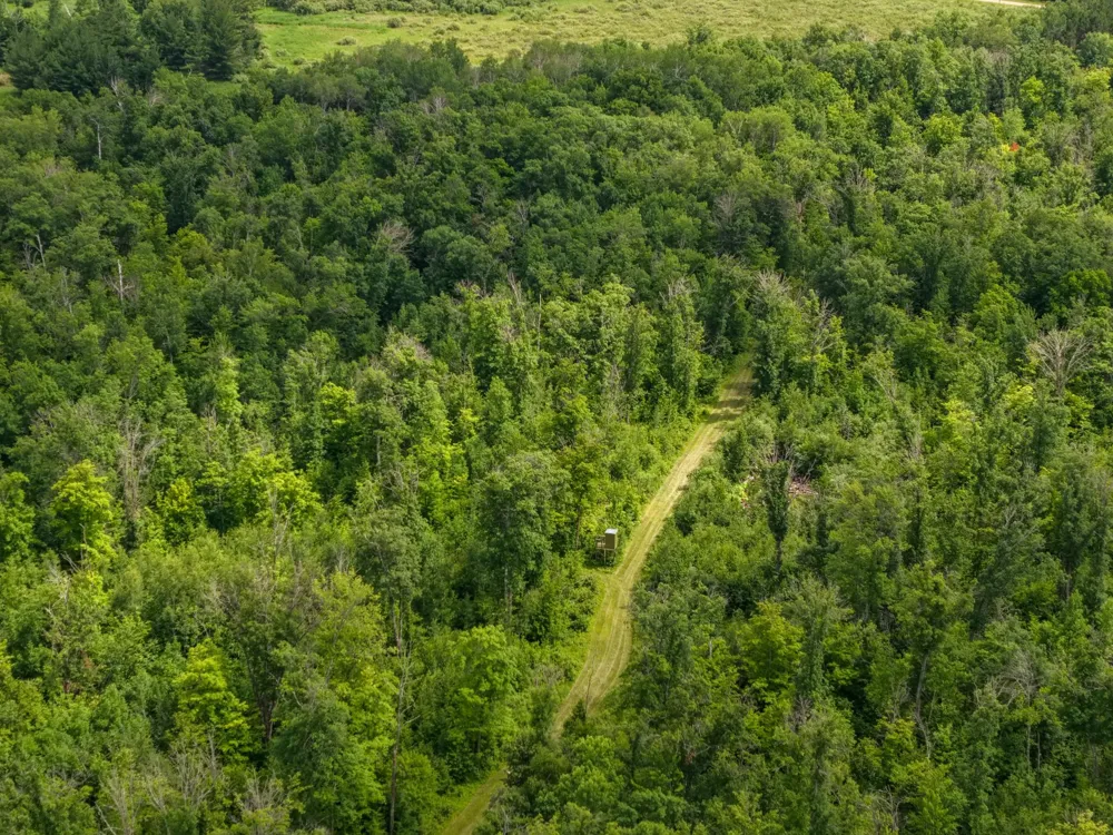 80 Acres Pike Bay Loop Road NW Cass Lake, MN 56633