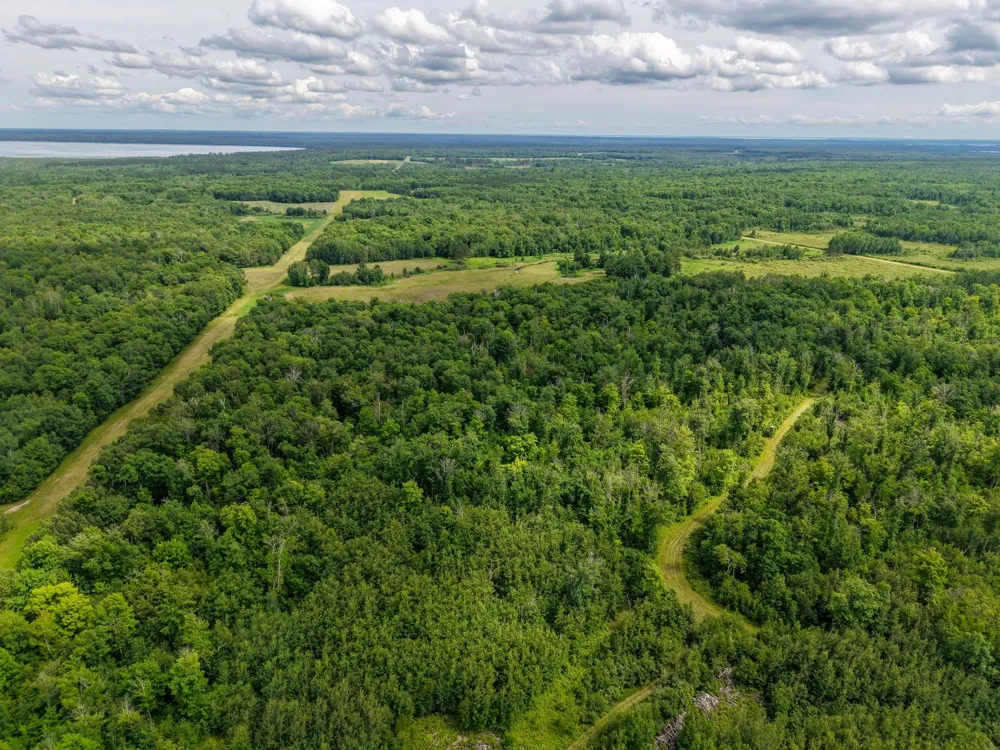 80 Acres Pike Bay Loop Road NW Cass Lake, MN 56633