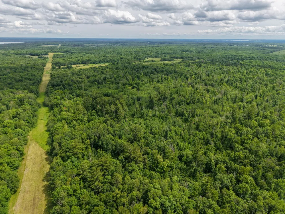 80 Acres Pike Bay Loop Road NW Cass Lake, MN 56633