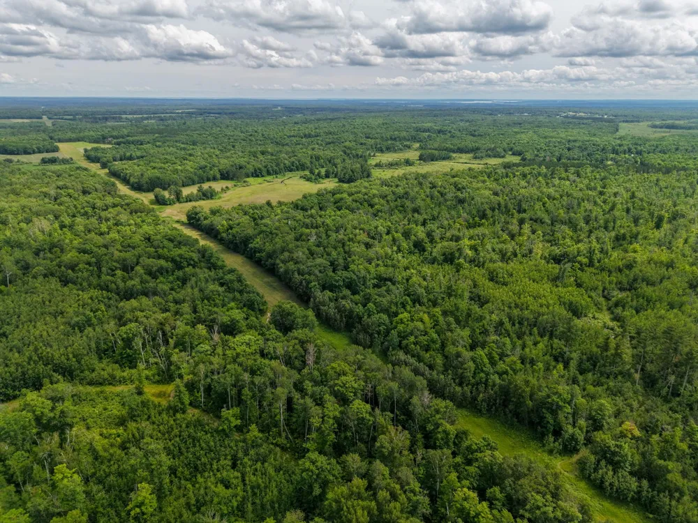 80 Acres Pike Bay Loop Road NW Cass Lake, MN 56633
