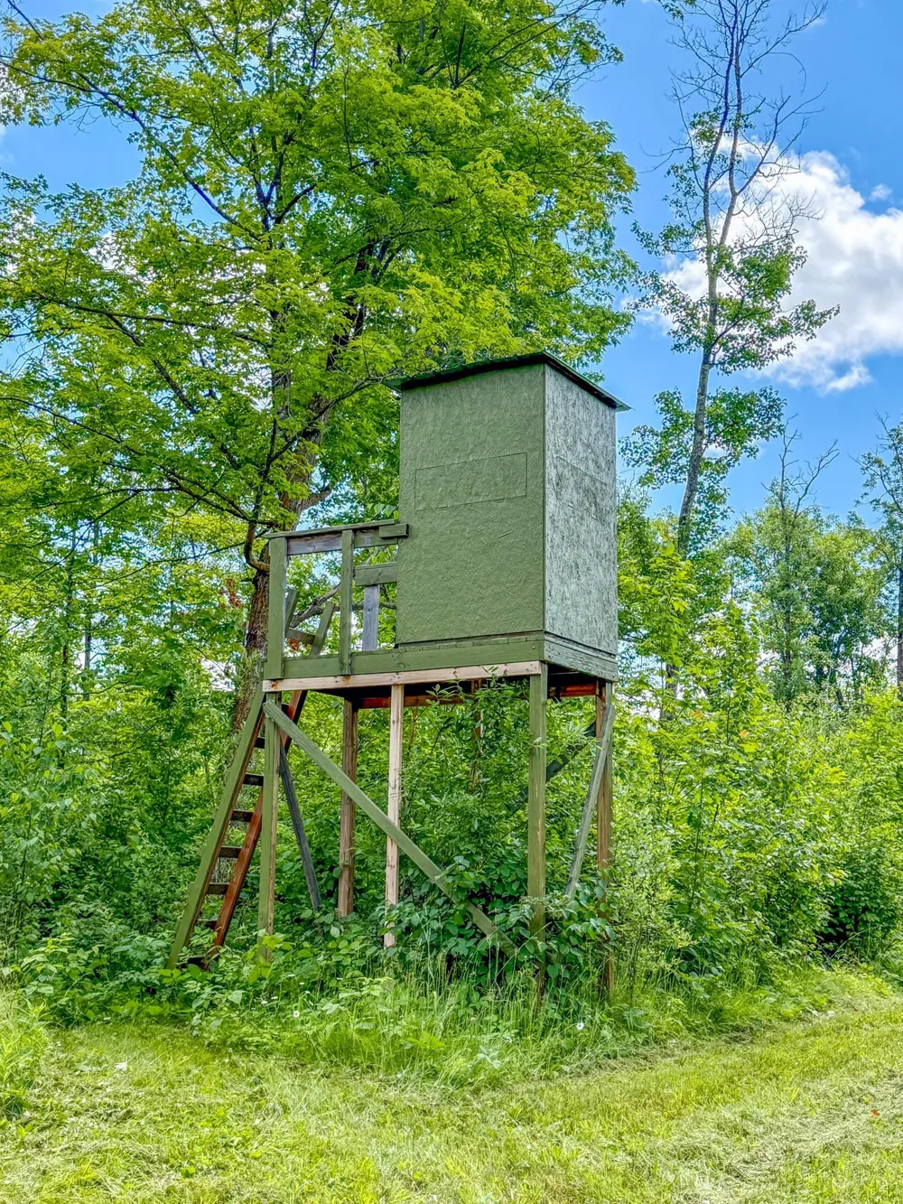 80 Acres Pike Bay Loop Road NW Cass Lake, MN 56633