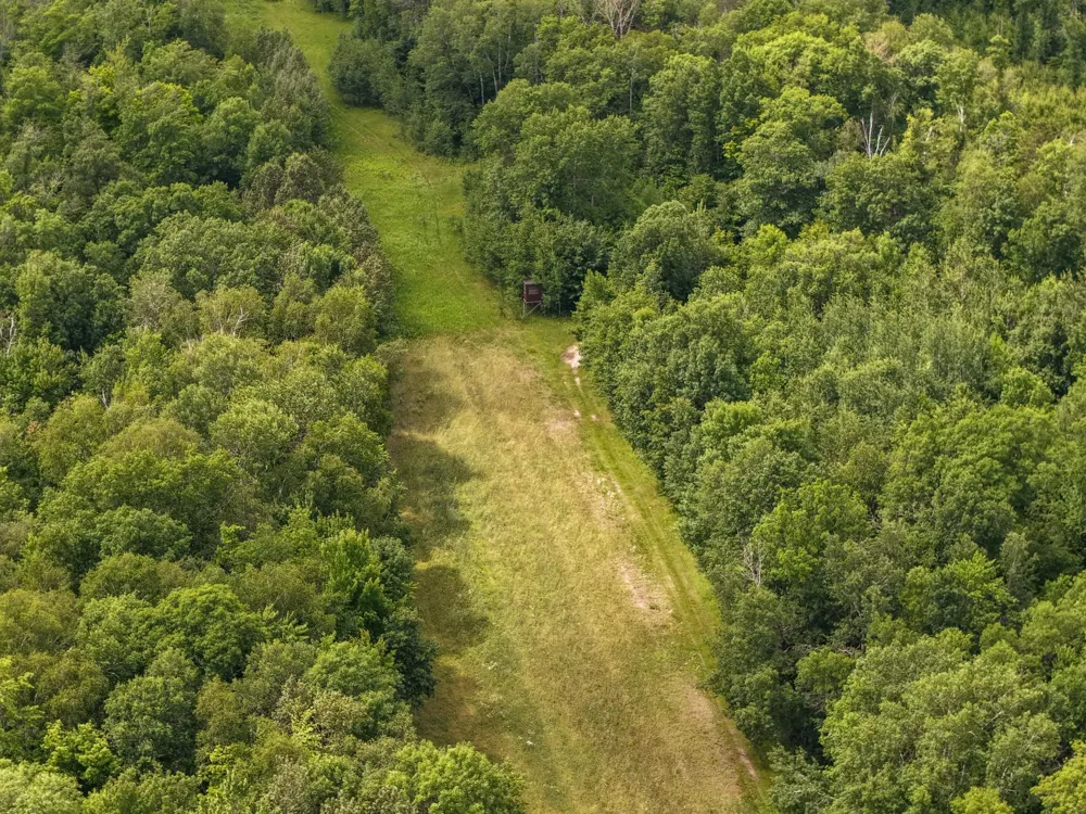 80 Acres Pike Bay Loop Road NW Cass Lake, MN 56633