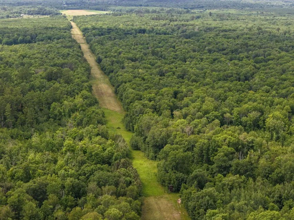 80 Acres Pike Bay Loop Road NW Cass Lake, MN 56633