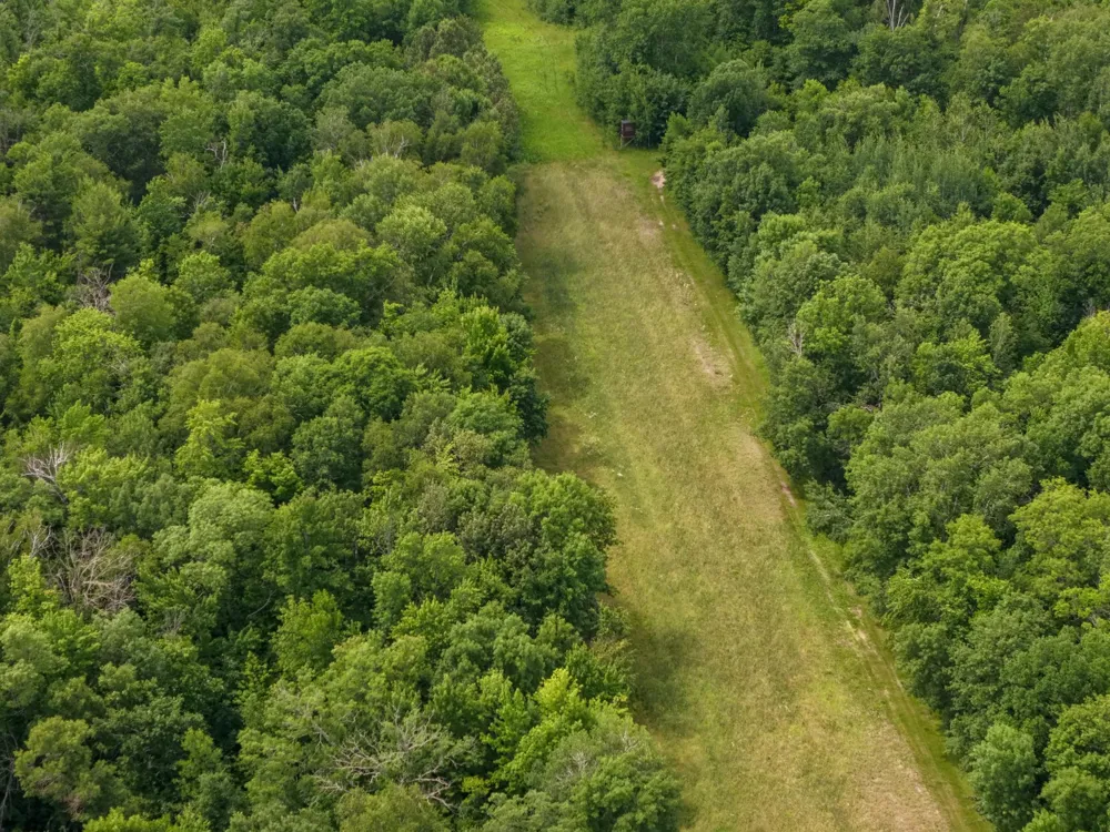 80 Acres Pike Bay Loop Road NW Cass Lake, MN 56633