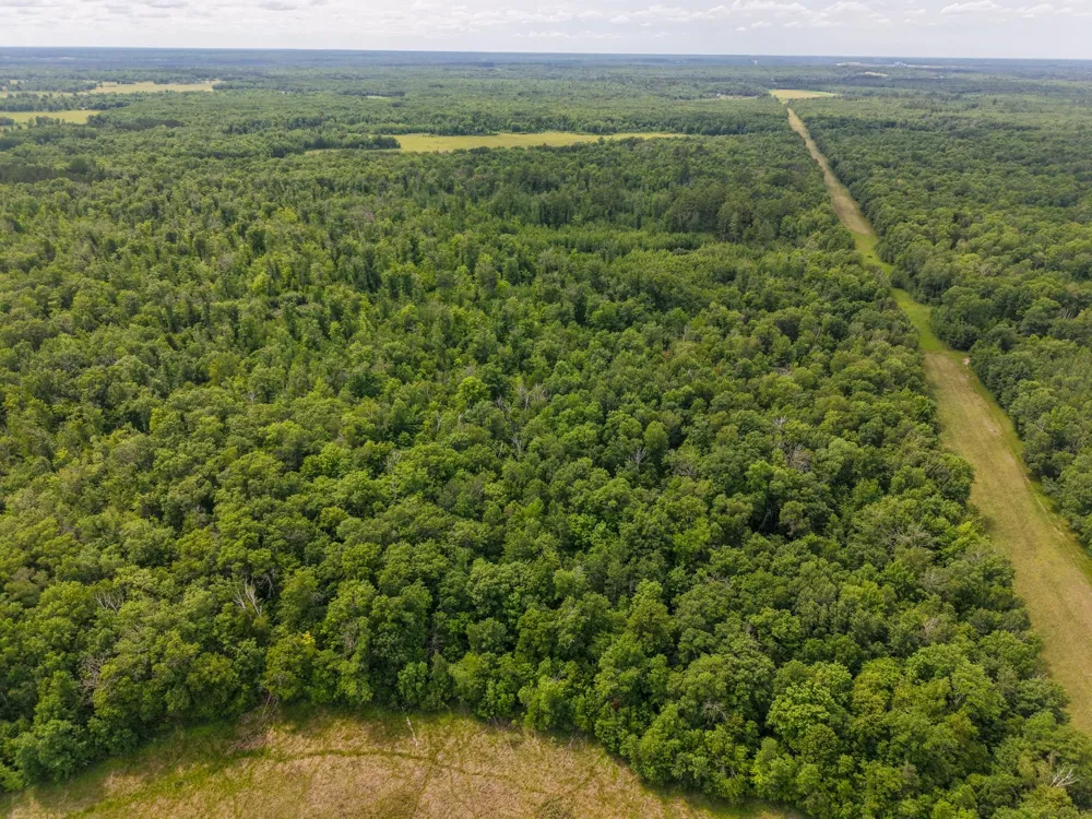 80 Acres Pike Bay Loop Road NW Cass Lake, MN 56633