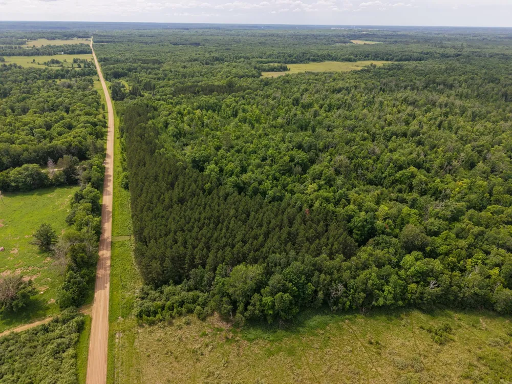80 Acres Pike Bay Loop Road NW Cass Lake, MN 56633
