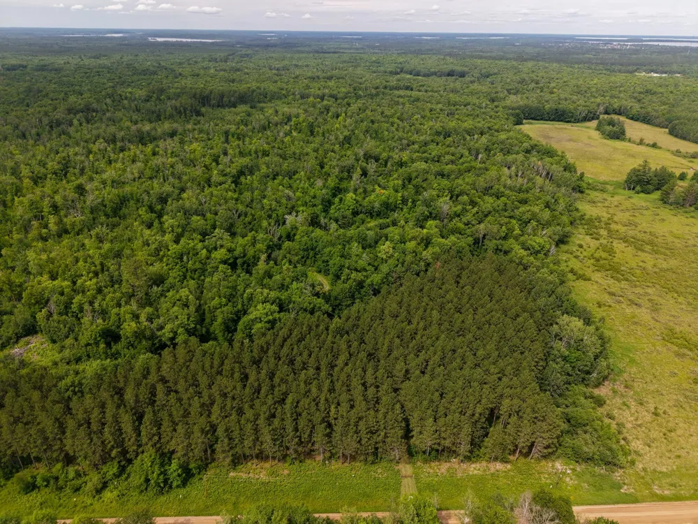 80 Acres Pike Bay Loop Road NW Cass Lake, MN 56633