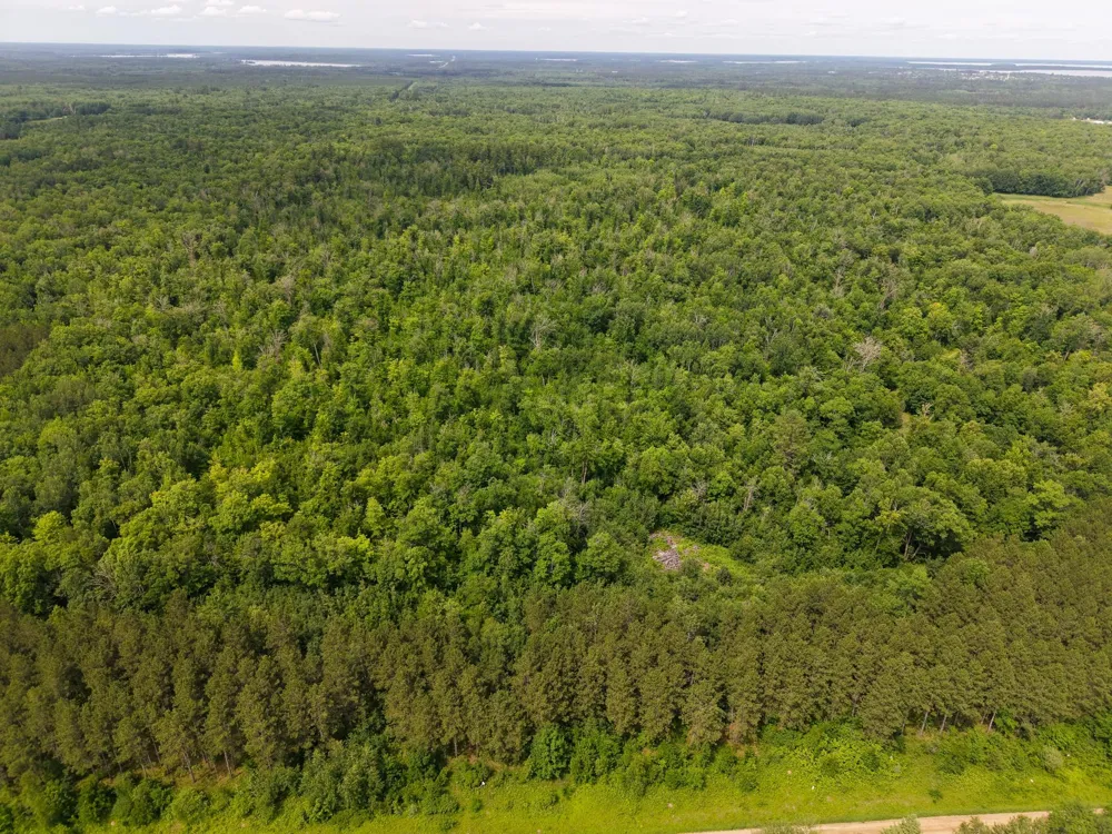 80 Acres Pike Bay Loop Road NW Cass Lake, MN 56633