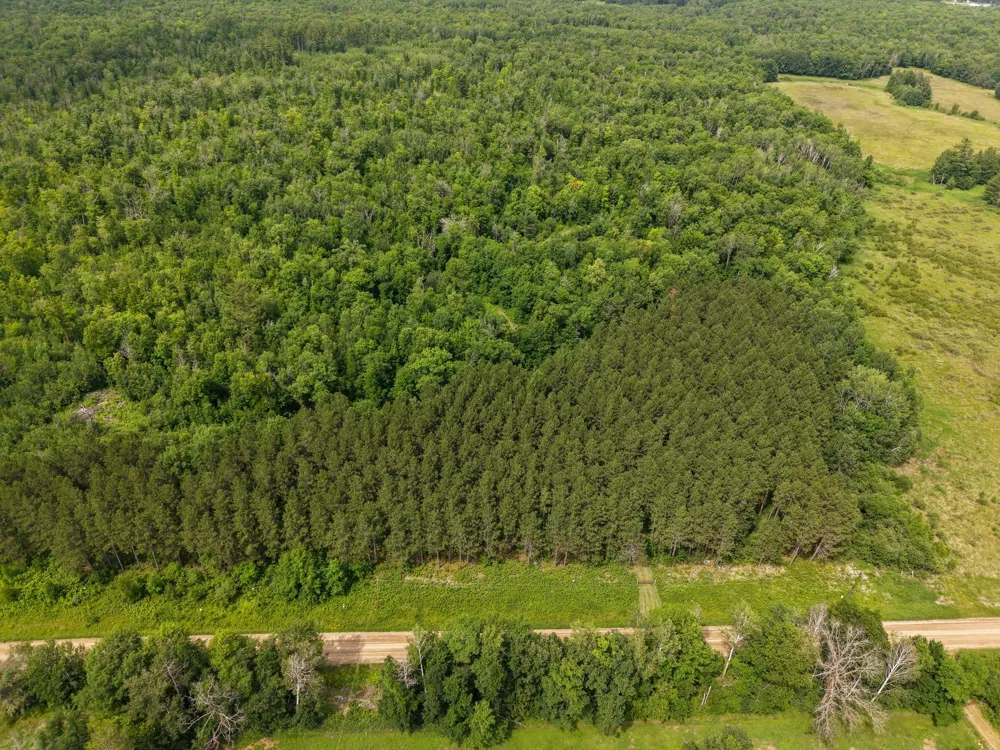 80 Acres Pike Bay Loop Road NW Cass Lake, MN 56633