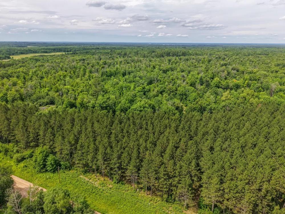 80 Acres Pike Bay Loop Road NW Cass Lake, MN 56633