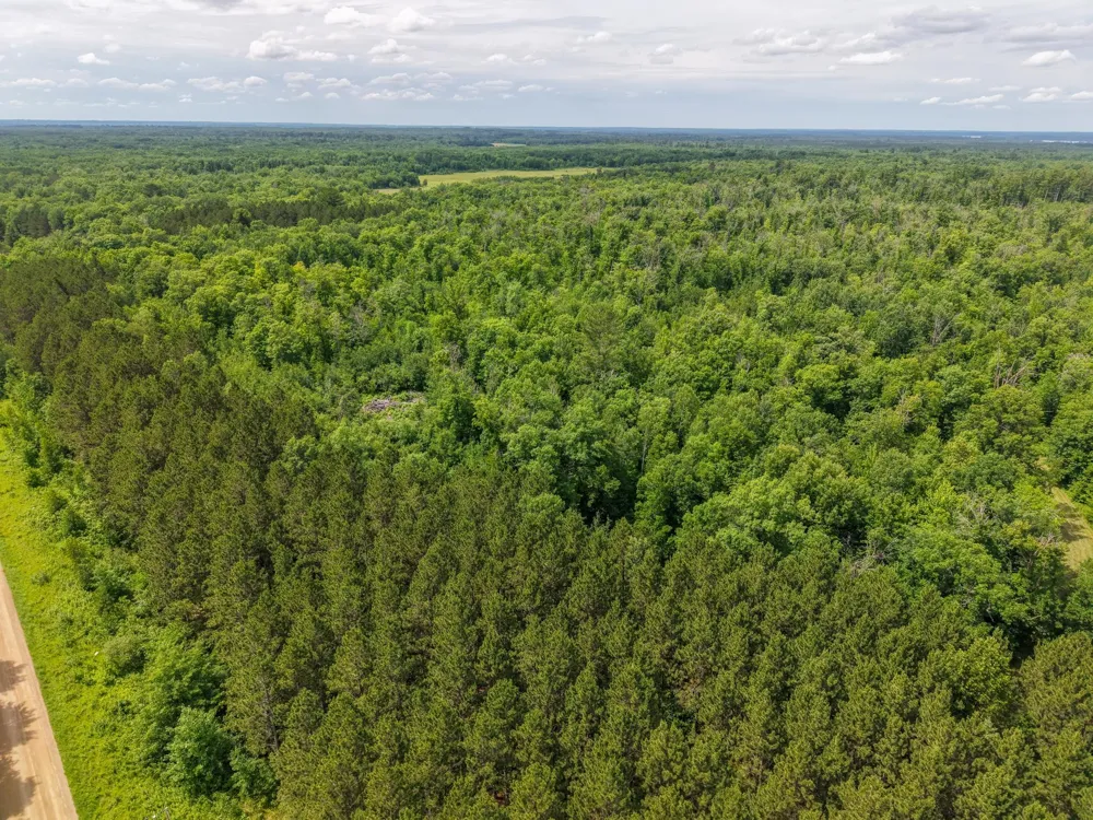 80 Acres Pike Bay Loop Road NW Cass Lake, MN 56633