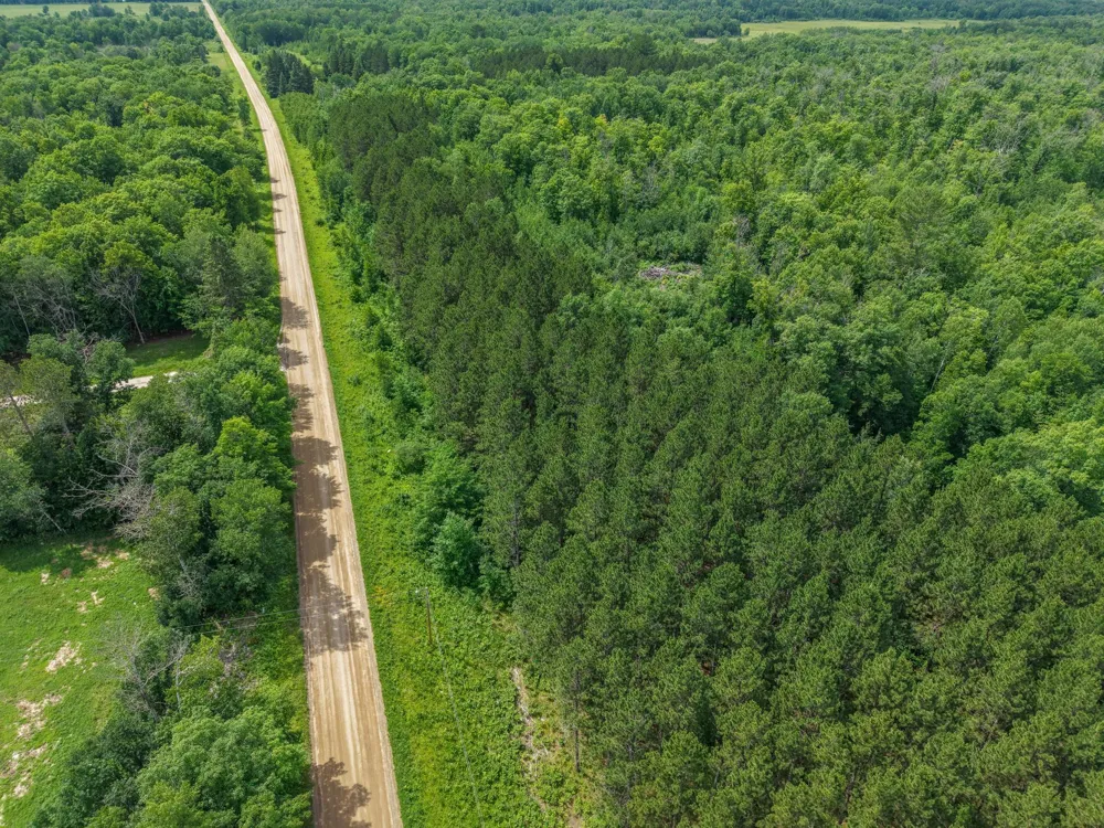 80 Acres Pike Bay Loop Road NW Cass Lake, MN 56633
