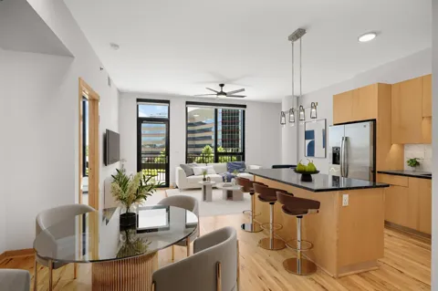 1240 S 2nd Street #311