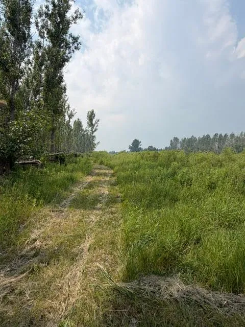 xxx County Rd 26 Verndale, MN 56481