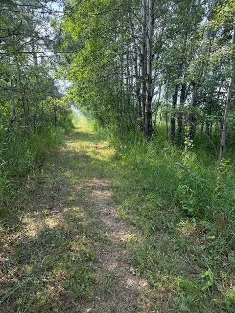 xxx County Rd 26 Verndale, MN 56481