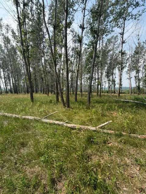 xxx County Rd 26 Verndale, MN 56481