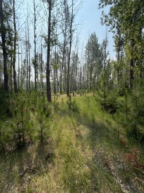 xxx County Rd 26 Verndale, MN 56481
