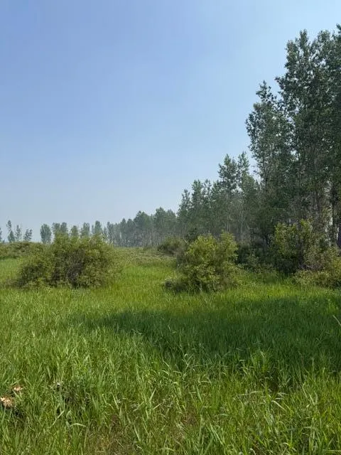 xxx County Rd 26 Verndale, MN 56481
