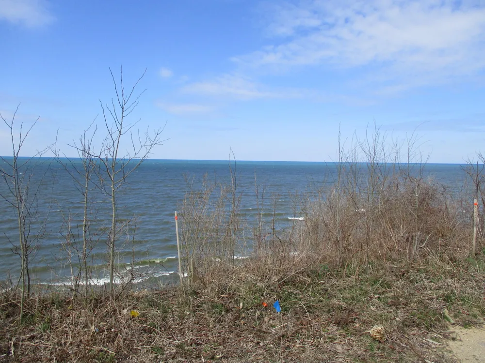 Miami Avenue South Haven, MI 49090