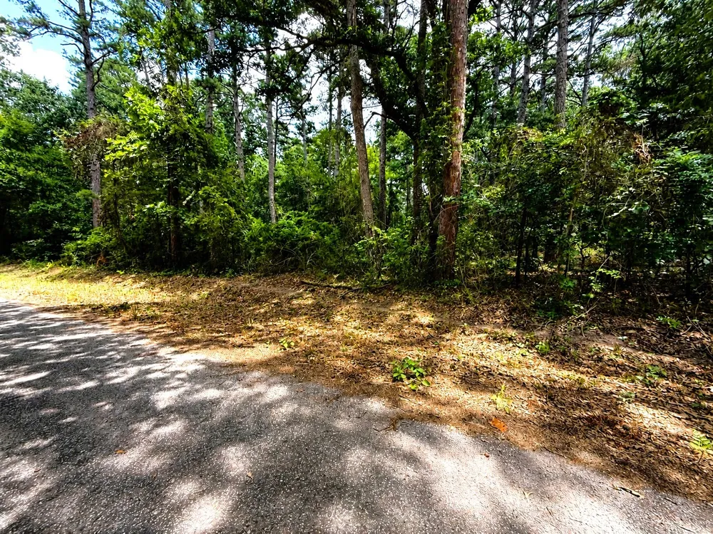 County Road 4557 Winnsboro, TX 75494