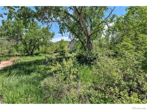 4804 Foothills Drive
