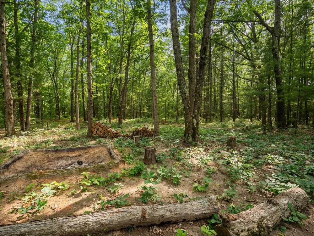 Tabor Avenue Grant Township, MI 49643