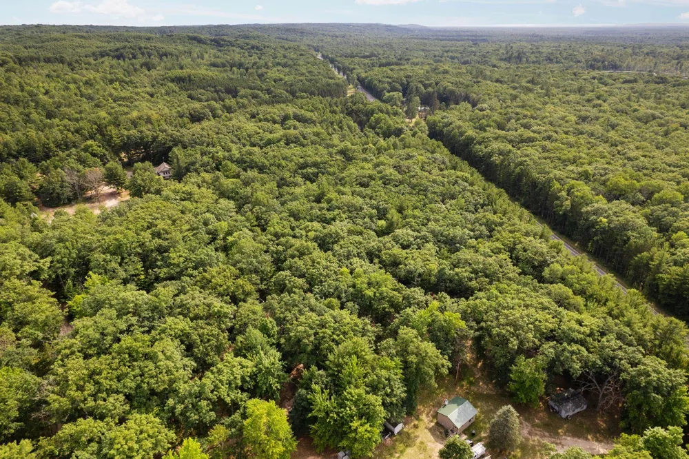 Tabor Avenue Grant Township, MI 49643